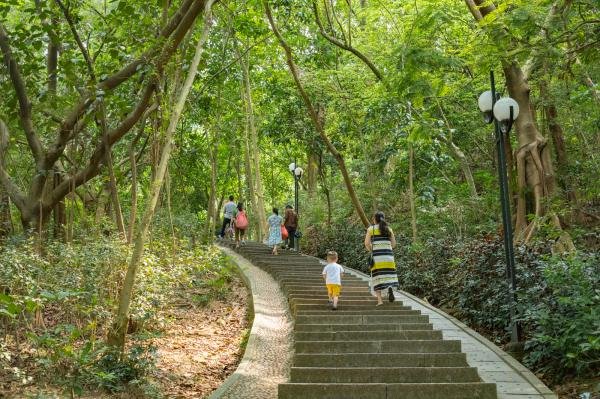 {賭馬}(深圳适合户外玩的地方夏季)